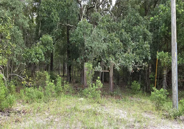 Photo 3 of Land for sale at 10400 E Moccasin Slough Rd, Inverness, FL 34450 | MLS# G5117366 | Listing updated on 2026-09-19