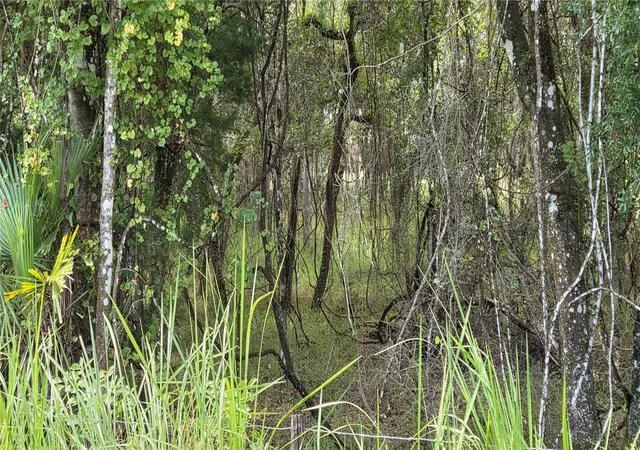 Photo 3 of Land for sale at 10400 E Moccasin Slough Rd, Inverness, FL 34450 | MLS# G5117366 | Listing updated on 2026-09-19