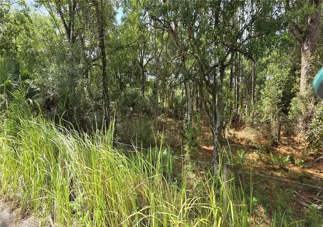 Photo 4 of Land for sale at 10400 E Moccasin Slough Rd, Inverness, FL 34450 | MLS# G5117366 | Listing updated on 2026-09-19