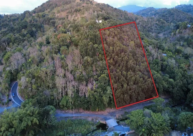 Photo 2 of Land for sale at Carr 853 Barrazas, Carolina, PR 00987 | MLS# PR9123945 | Listing updated on 2026-09-04
