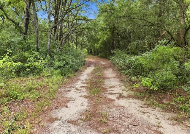 Photo 3 of Land for sale at 89 S Haid Ter, Lecanto, FL 34461 | MLS# TB8545565 | Listing updated on 2026-09-05