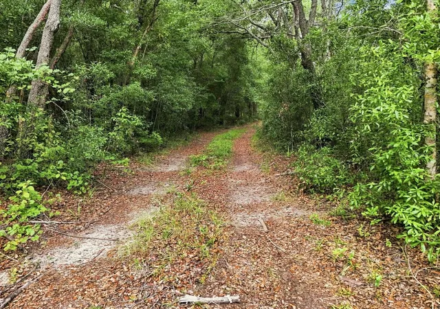 Photo 4 of Land for sale at 89 S Haid Ter, Lecanto, FL 34461 | MLS# TB8545565 | Listing updated on 2026-09-05