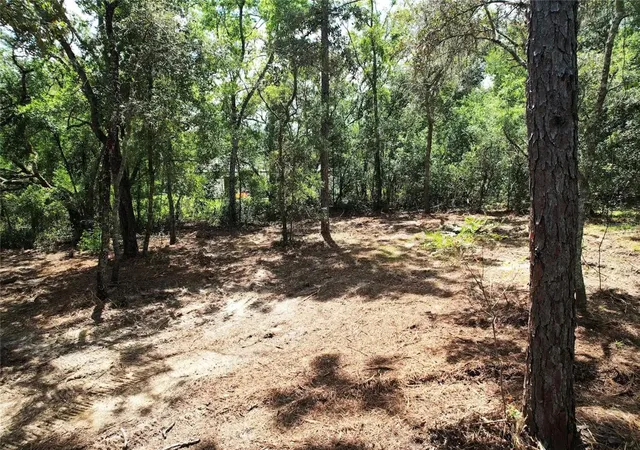 Photo 2 of Land for sale at 3094 E Scofield St, Inverness, FL 34453 | MLS# O6439211 | Listing updated on 2026-09-04