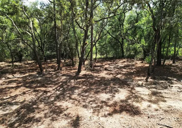 Photo 3 of Land for sale at 3094 E Scofield St, Inverness, FL 34453 | MLS# O6439211 | Listing updated on 2026-09-04