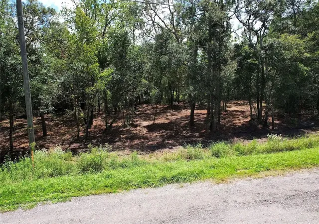 Photo 4 of Land for sale at 3094 E Scofield St, Inverness, FL 34453 | MLS# O6439211 | Listing updated on 2026-09-04