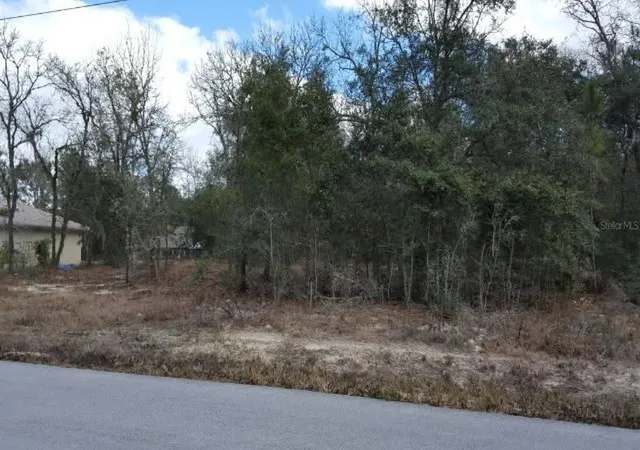 Photo 1 of Land for sale at 0 Se 88th Court, Summerfield, FL 34491 | MLS# TB8545686 | Listing updated on 2026-09-26
