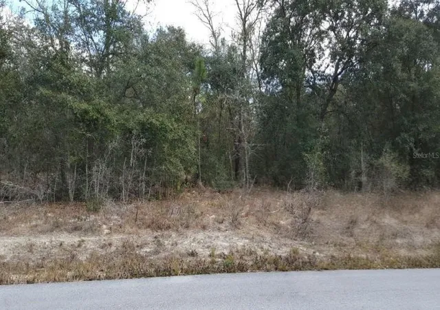 Photo 2 of Land for sale at 0 Se 88th Court, Summerfield, FL 34491 | MLS# TB8545686 | Listing updated on 2026-09-26