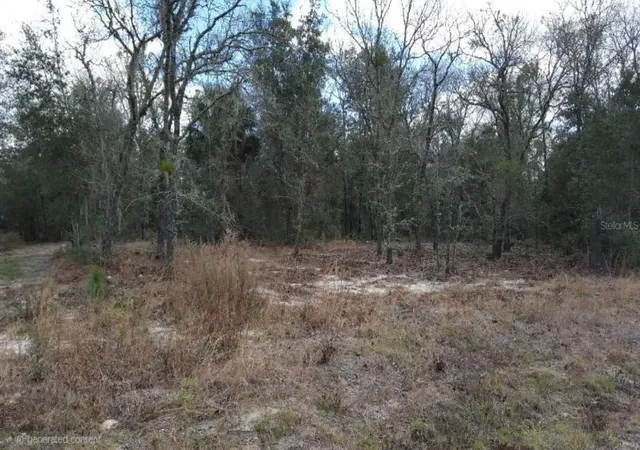 Photo 3 of Land for sale at 0 Se 88th Court, Summerfield, FL 34491 | MLS# TB8545686 | Listing updated on 2026-09-26