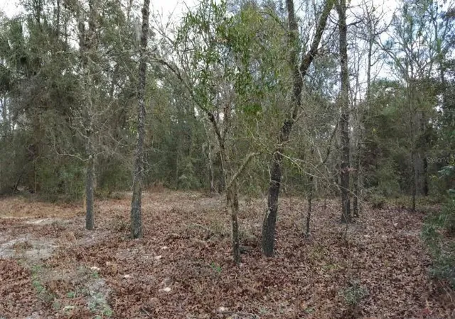 Photo 3 of Land for sale at 0 SE 88th Court, Summerfield, FL 34491 | MLS# TB8545686 | Listing updated on 2026-09-26