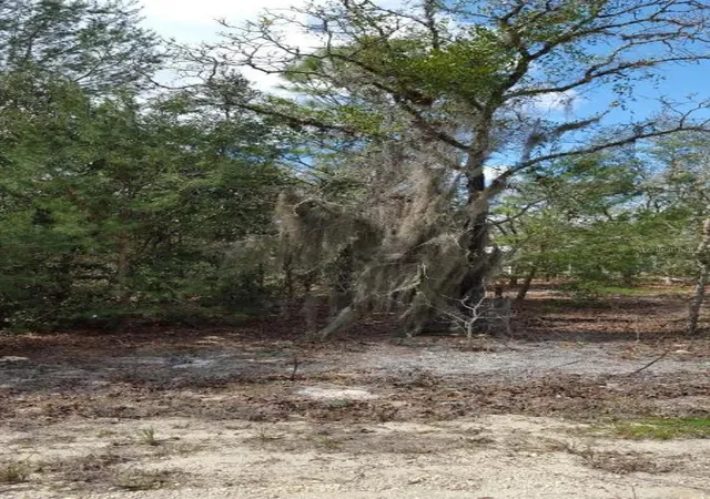 Photo 4 of Land for sale at 0 SE 88th Court, Summerfield, FL 34491 | MLS# TB8545686 | Listing updated on 2026-09-26