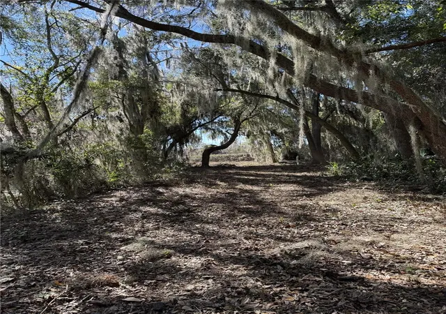 Photo 2 of Land for sale at Ocklawaha Dr, Leesburg, FL 34788 | MLS# G5117404 | Listing updated on 2026-09-11