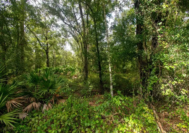 Photo 1 of Land for sale at 4730 Palatka Blvd, Hastings, FL 32145 | MLS# FC321231 | Listing updated on 2026-09-05
