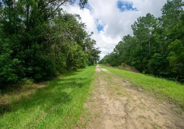 Photo 3 of Land for sale at 4730 Palatka Blvd, Hastings, FL 32145 | MLS# FC321231 | Listing updated on 2026-09-05