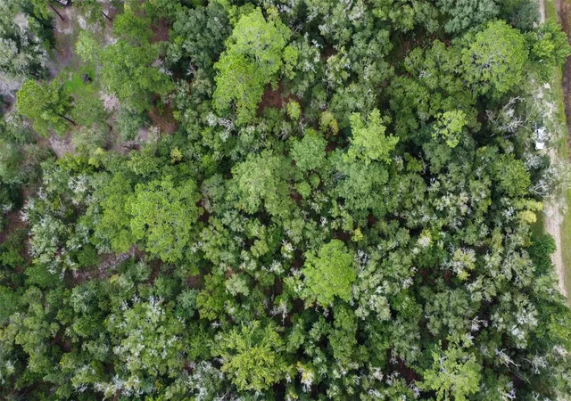 Photo 3 of Land for sale at 4730 Palatka Blvd, Hastings, FL 32145 | MLS# FC321231 | Listing updated on 2026-09-05