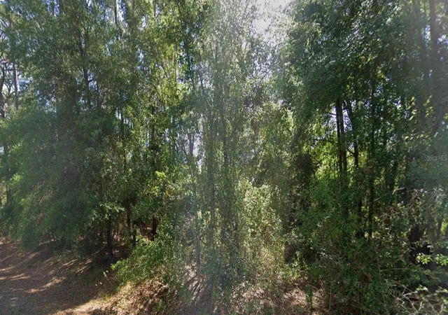 Photo 2 of Land for sale at Lot Se 84 99th Avenue, Belleview, FL 34420 | MLS# S5156974 | Listing updated on 2026-09-05