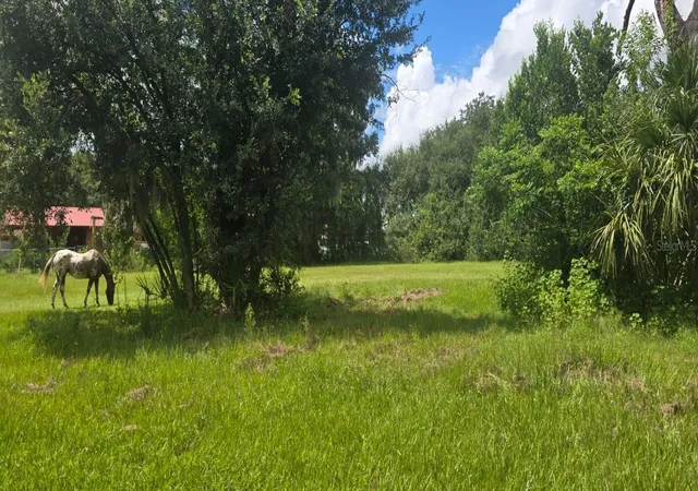 Photo 4 of Single family home for sale at 4511 E Keysville Rd, Lithia, FL 33547 | MLS# TB8545767 | Listing updated on 2026-10-03