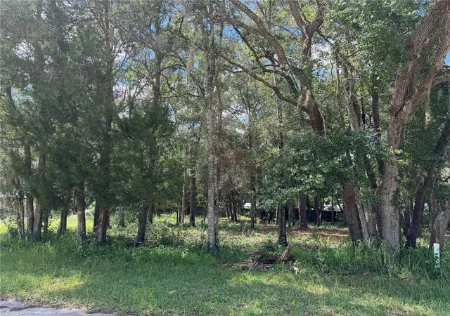 Photo 3 of Land for sale at 7457 W Turkeyneck Ct, Homosassa, FL 34448 | MLS# TB8545784 | Listing updated on 2026-09-05