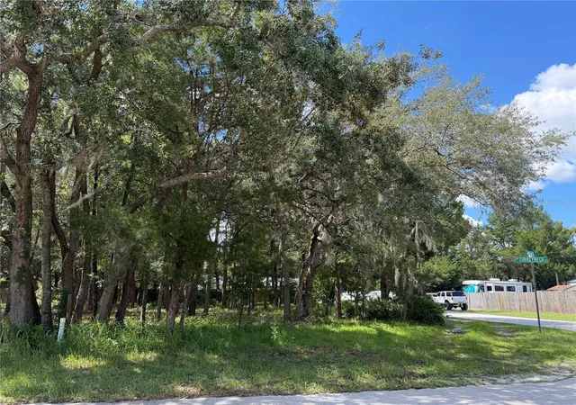 Photo 3 of Land for sale at 7457 W Turkeyneck Ct, Homosassa, FL 34448 | MLS# TB8545784 | Listing updated on 2026-09-05