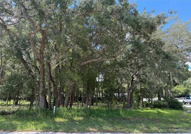Photo 4 of Land for sale at 7457 W Turkeyneck Ct, Homosassa, FL 34448 | MLS# TB8545784 | Listing updated on 2026-09-05