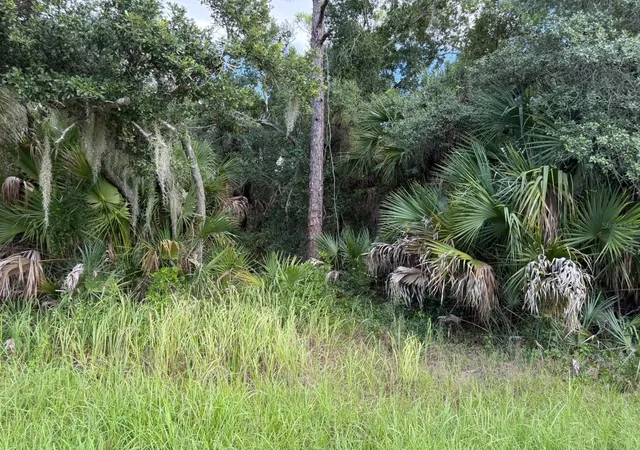 Land for sale at 15020 Elwood Ave, PORT CHARLOTTE, FL 33953 | MLS# A4705154
