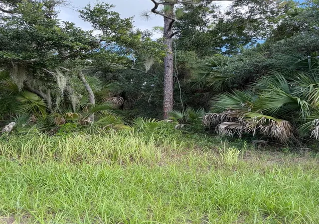 Photo 8 of Land for sale at 15020 Elwood Ave, Port Charlotte, FL 33953 | MLS# A4705154 | Listing updated on 2026-09-13