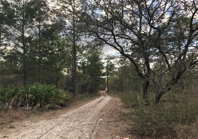 Photo 1 of Land for sale at 6000 W Cedar Hl St, Dunnellon, FL 34433 | MLS# A4705166 | Listing updated on 2026-09-05
