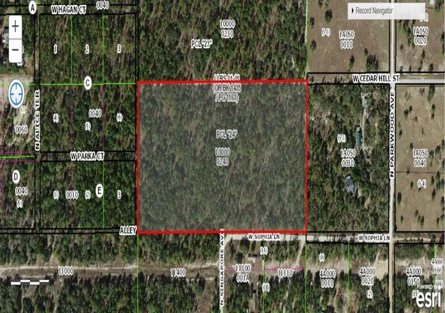Photo 2 of Land for sale at 6000 W Cedar Hl St, Dunnellon, FL 34433 | MLS# A4705166 | Listing updated on 2026-09-05