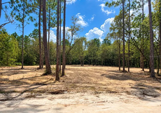 Photo 2 of Land for sale at Tbd NE 88th Lane, Bronson, FL 32621 | MLS# GC543276 | Listing updated on 2026-09-06