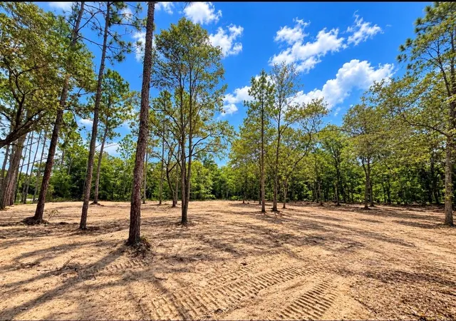 Photo 4 of Land for sale at Tbd Ne 88th Lane, Bronson, FL 32621 | MLS# GC543276 | Listing updated on 2026-09-06
