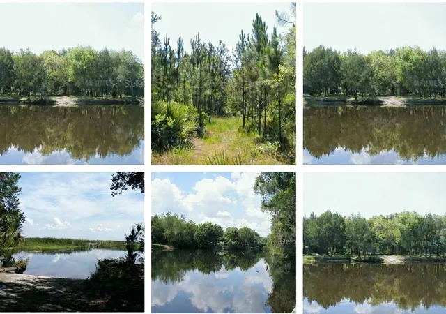 Photo 2 of Land for sale at 323 Old Bubbly Rd, Pierson, FL 32180 | MLS# S5156991 | Listing updated on 2026-09-05