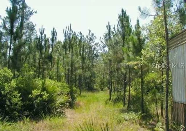 Photo 3 of Land for sale at 323 Old Bubbly Rd, Pierson, FL 32180 | MLS# S5156991 | Listing updated on 2026-09-05