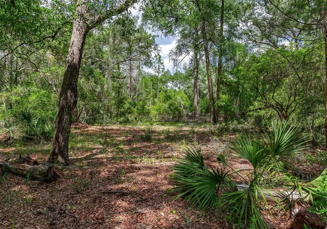 Photo 2 of Land for sale at SE 152nd Lot 16 (ravenswood Rd) Parcel B Pl, Altoona, FL 32702 | MLS# G5117424 | Listing updated on 2026-09-22