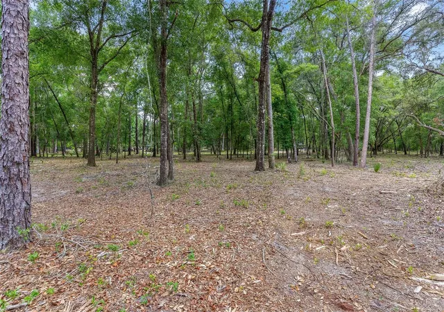 Photo 3 of Land for sale at SE 152nd Lot 16 (ravenswood Rd) Parcel B Pl, Altoona, FL 32702 | MLS# G5117424 | Listing updated on 2026-09-22