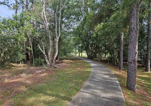 Photo 42 of Townhouse for sale at 11753 Fitzgerald Butler Rd, Orlando, FL 32836 | MLS# S5156999 | Listing updated on 2026-09-06
