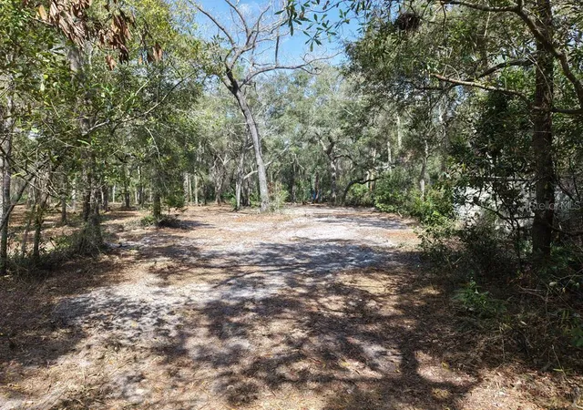 Photo 3 of Land for sale at 8211 NW 168th Lane, Fanning Springs, FL 32693 | MLS# A4705188 | Listing updated on 2026-09-23