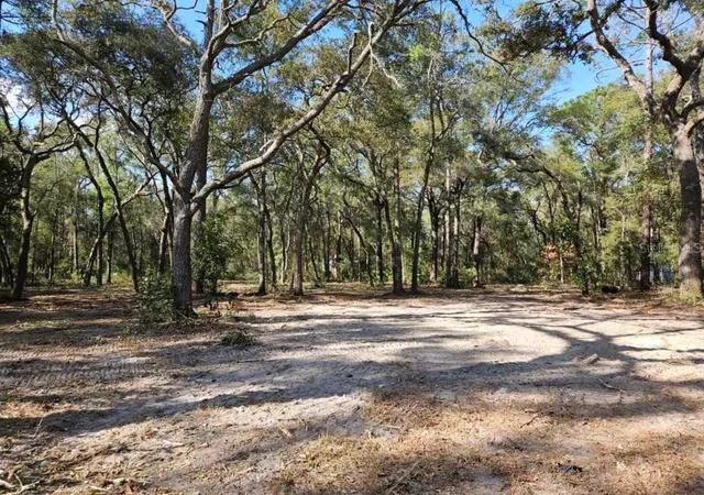 Photo 9 of Land for sale at 8211 NW 168th Lane, Fanning Springs, FL 32693 | MLS# A4705188 | Listing updated on 2026-09-23