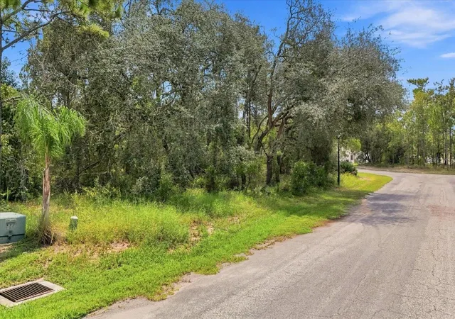 Photo 3 of Land for sale at 7 Honeysuckle Ct S, Homosassa, FL 34446 | MLS# A4705189 | Listing updated on 2026-09-16