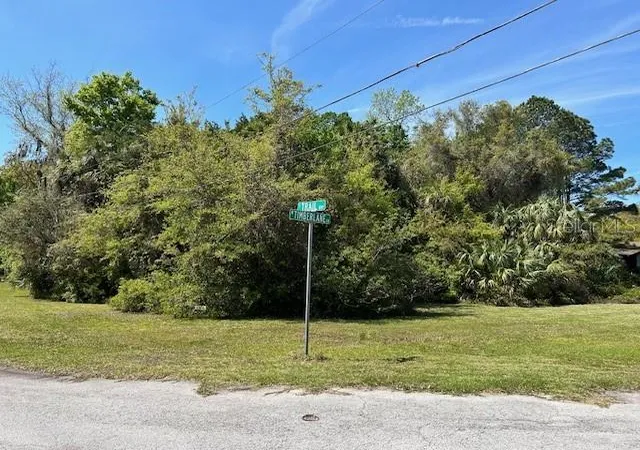 Land for sale at 4816 S Trl Way, Homosassa, FL 34448 | MLS# CC799691