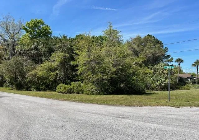 Photo 3 of Land for sale at 4816 S Trl Way, Homosassa, FL 34448 | MLS# CC799691 | Listing updated on 2026-10-08