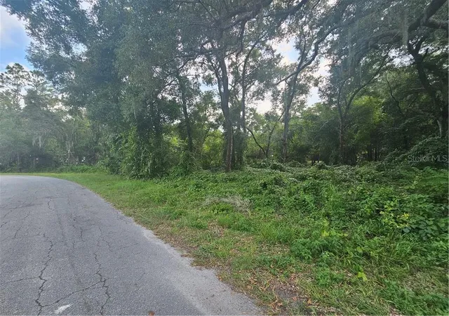 Photo 3 of Land for sale at 4059 E Gloria Dr, Hernando, FL 34442 | MLS# CC836682 | Listing updated on 2026-10-08