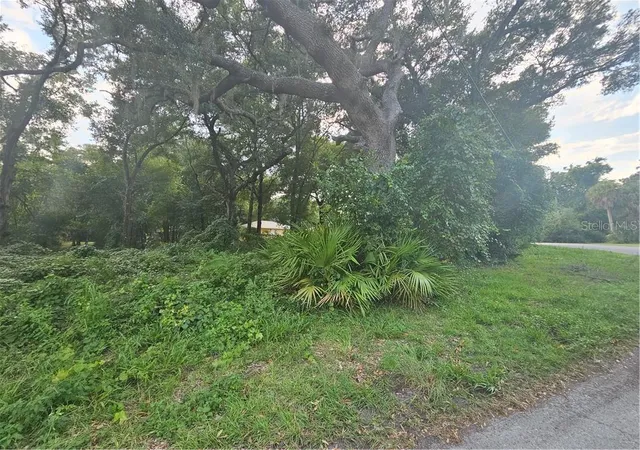 Photo 3 of Land for sale at 4059 E Gloria Dr, Hernando, FL 34442 | MLS# CC836682 | Listing updated on 2026-10-08
