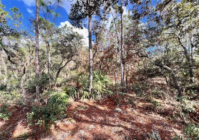 Photo 3 of Land for sale at 6328 W Pine Ridge Blvd, Beverly Hills, FL 34465 | MLS# CC839927 | Listing updated on 2026-10-08