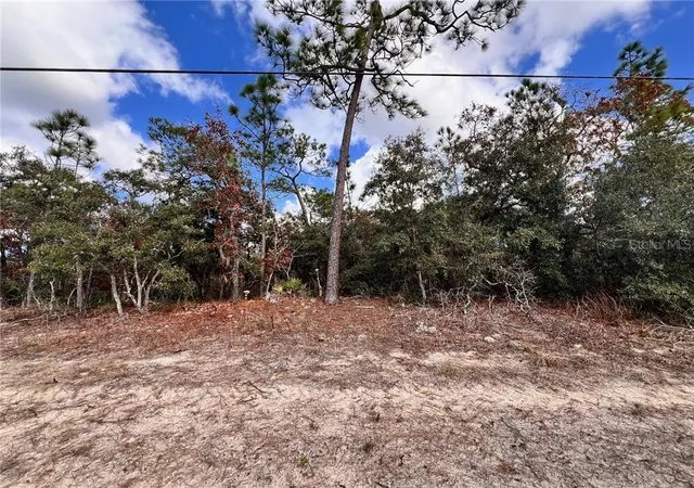 Photo 3 of Land for sale at 6328 W Pine Ridge Blvd, Beverly Hills, FL 34465 | MLS# CC839927 | Listing updated on 2026-10-08