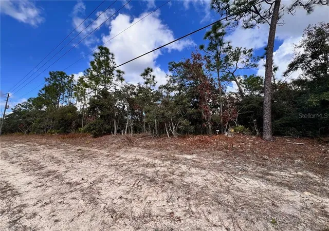 Photo 4 of Land for sale at 6328 W Pine Ridge Blvd, Beverly Hills, FL 34465 | MLS# CC839927 | Listing updated on 2026-10-08