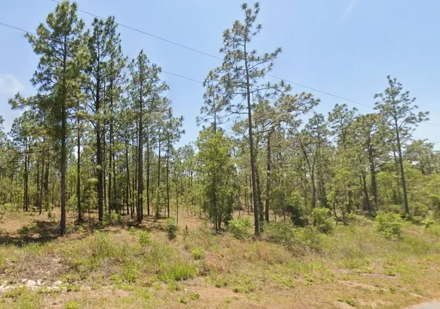 Land for sale at 0 NW Water Oak Ave, Dunnellon, FL 34431 | MLS# CC846560