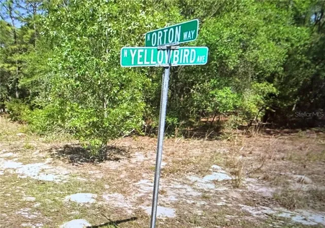 Photo 1 of Land for sale at 8265 N Yellowbird Ave, Dunnellon, FL 34434 | MLS# CC849638 | Listing updated on 2026-10-08