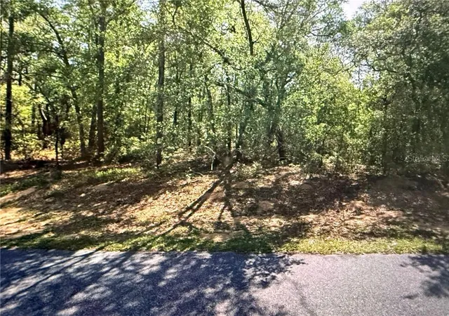 Photo 2 of Land for sale at 8265 N Yellowbird Ave, Dunnellon, FL 34434 | MLS# CC849638 | Listing updated on 2026-10-08