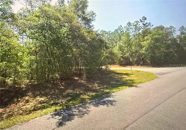 Photo 3 of Land for sale at 8265 N Yellowbird Ave, Dunnellon, FL 34434 | MLS# CC849638 | Listing updated on 2026-10-08