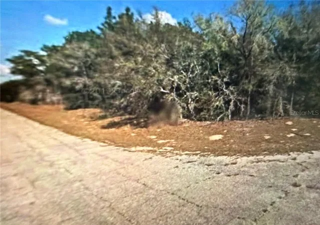 Photo 4 of Land for sale at 8265 N Yellowbird Ave, Dunnellon, FL 34434 | MLS# CC849638 | Listing updated on 2026-10-08