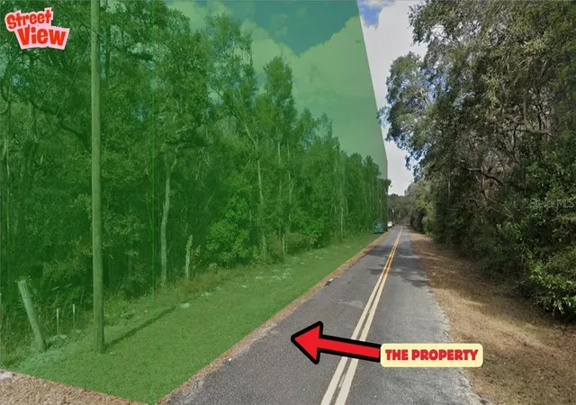 Land for sale at Tbd NW 85th Avenue, Chiefland, FL 32626 | MLS# CC852696